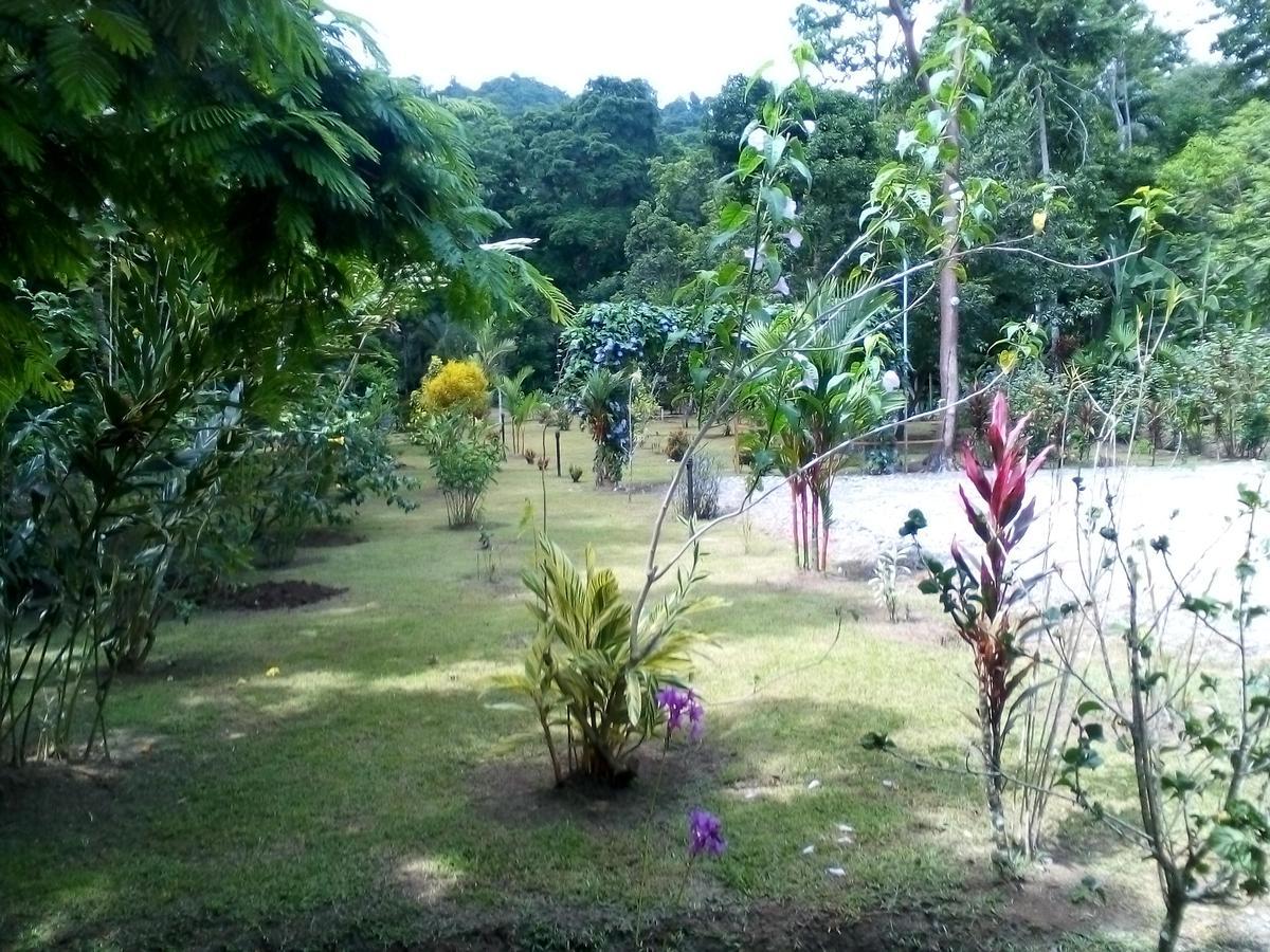 Puerto Vargas Lodge Cahuita Buitenkant foto