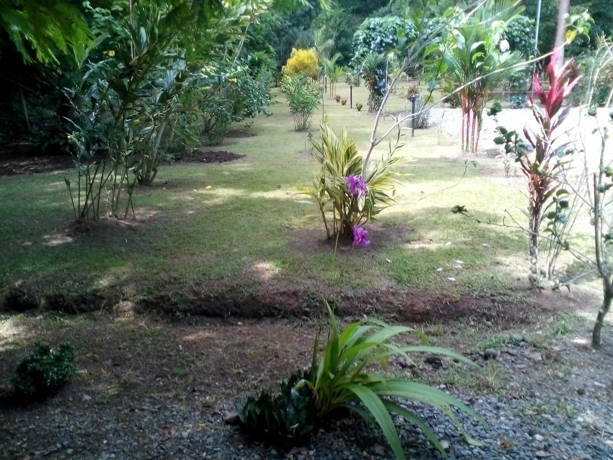 Puerto Vargas Lodge Cahuita Buitenkant foto